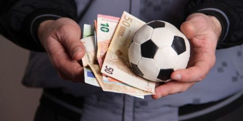 Các đặc điểm chính của thông tin 7Club - 7Club