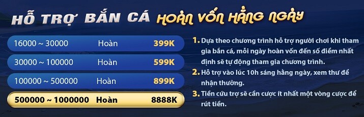 Betvn Online có những chương trình khuyến mãi nào? - Betvn