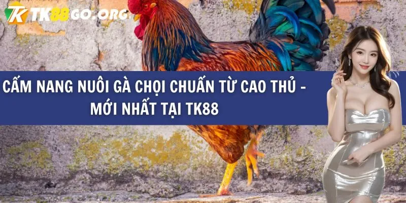 Tóm tắt hoạt động quảng bá của Công ty Rikvip Games - Rikvip