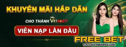 Các hoạt động khuyến mãi của Bwin (giảm giá, phần thưởng) - Bwin