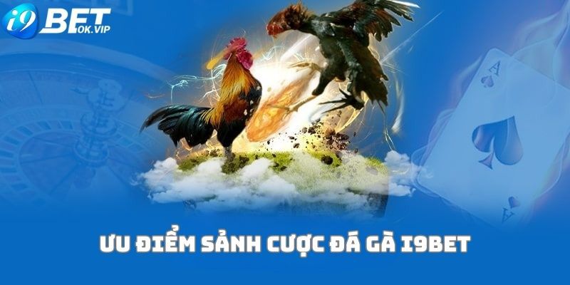 Khuyến mãi 188Bet: Tích điểm bằng cách gia hạn đăng ký thường xuyên - 188Bet