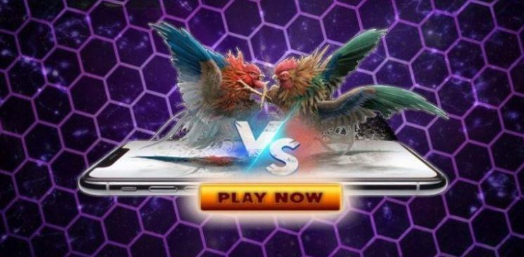 Nền tảng 68Win cung cấp nhiều chương trình giảm giá khác nhau - 68Win