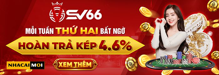Chiến lược va chạm dựa trên dữ liệu của Betvisa - Betvisa