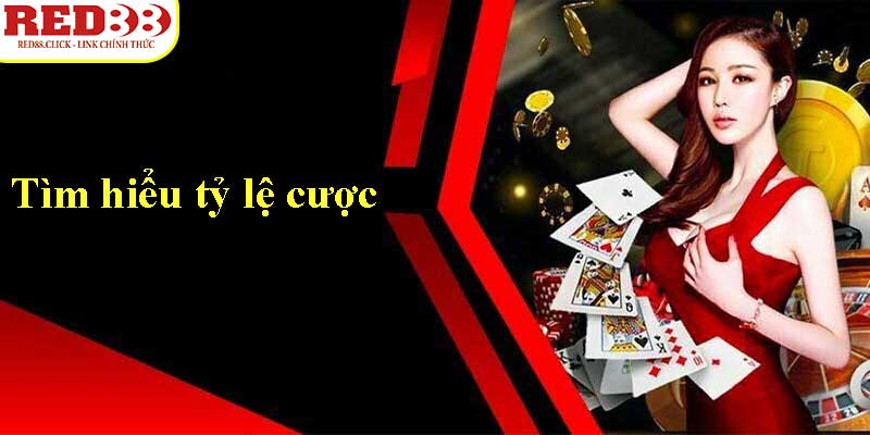 Ce88 tổ chức nhiều sự kiện quảng bá chọi gà vô cùng hấp dẫn - Ce88