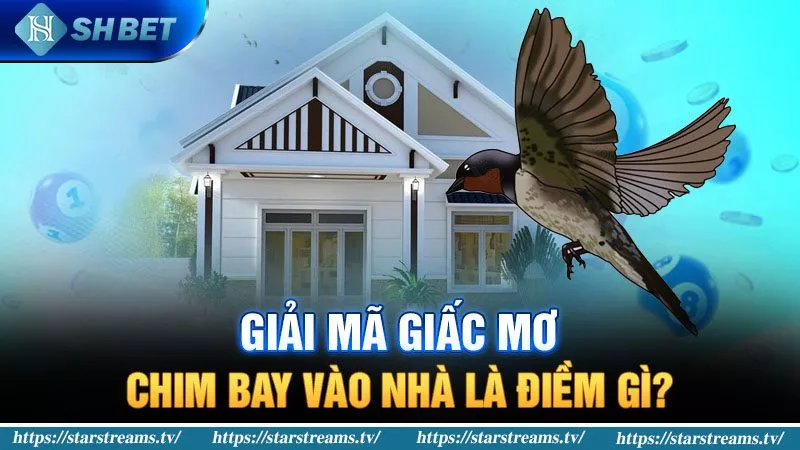 Chiến lược trò chơi cấp độ Tobet - Tobet