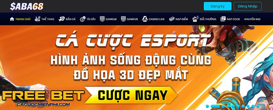 Chính sách phân phối thương hiệu Tdtc - Tdtc