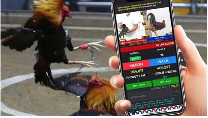 Ưu đãi khuyến mãi của Raybet chỉ có hiệu lực trên trang web của Raybet Games - Raybet