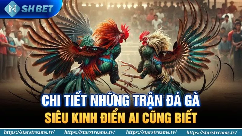 Yêu cầu kỹ thuật đối với ứng dụng Laucuagame - Laucuagame